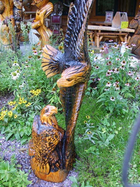 Sideways Eagle Closeup - Yellow Pine